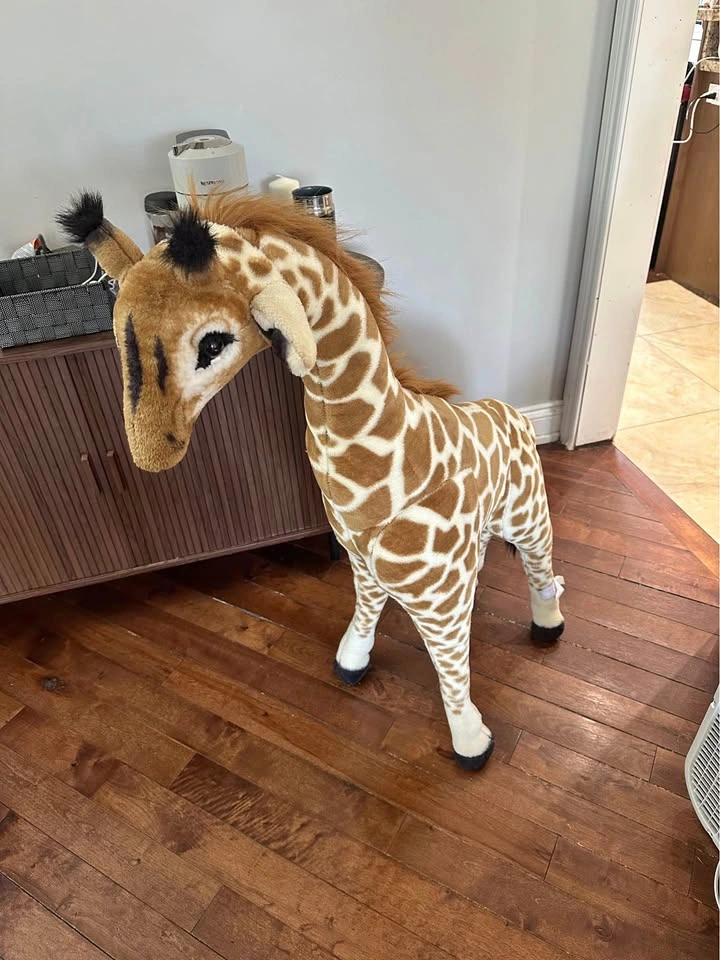 Giant giraffe