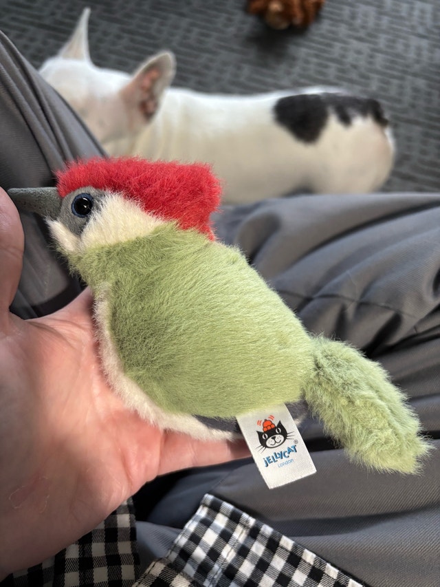 Jellycat Woodpecker Bird Plush -BIR6W