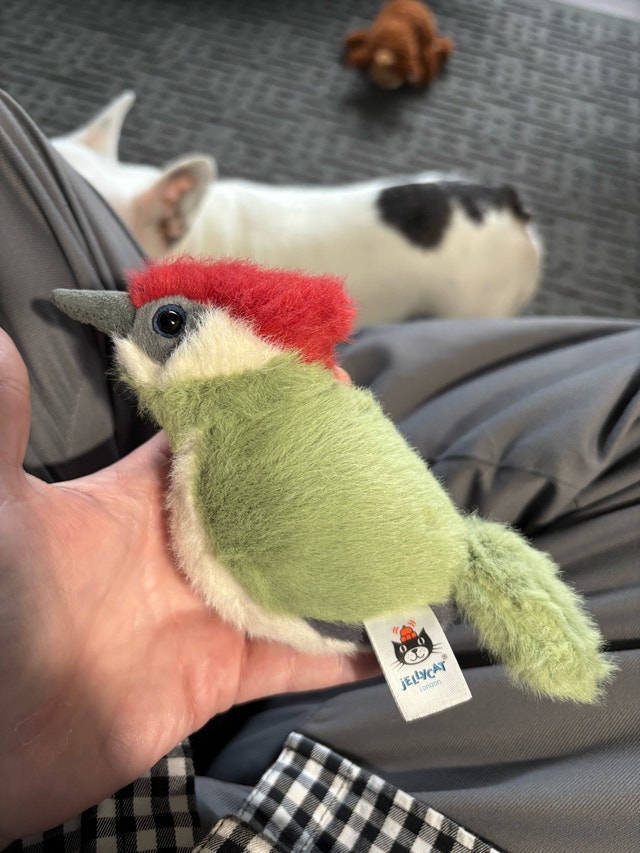 Jellycat Woodpecker Bird Plush -BIR6W - photo 2