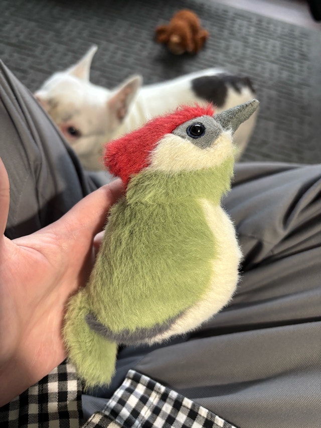 Jellycat Woodpecker Bird Plush -BIR6W - photo 3
