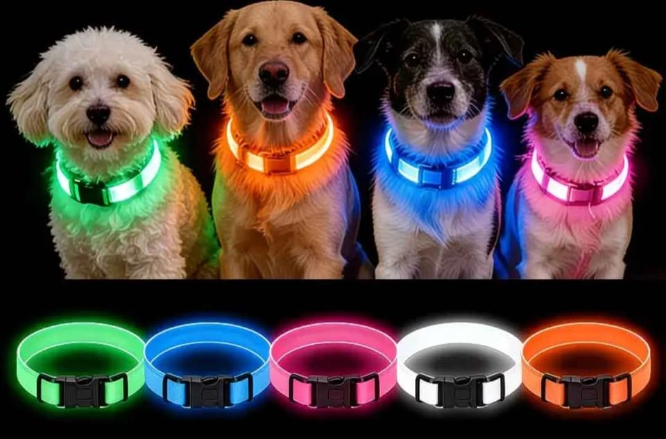 LED Glowing Dog Collar - photo 2