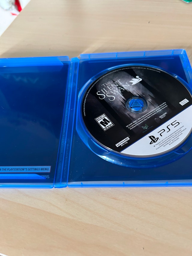 The Silent Swan - PS5 - photo 2