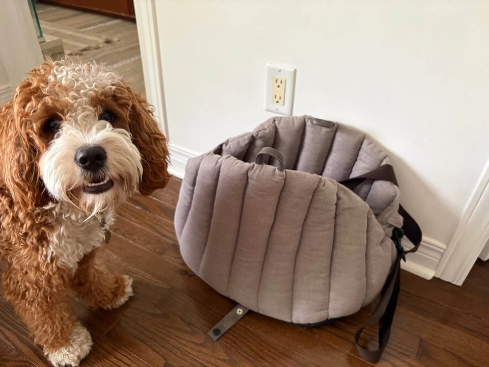 Dog or Puppy Bailey & Bella Convertible Taupe Travel Tote - photo 5