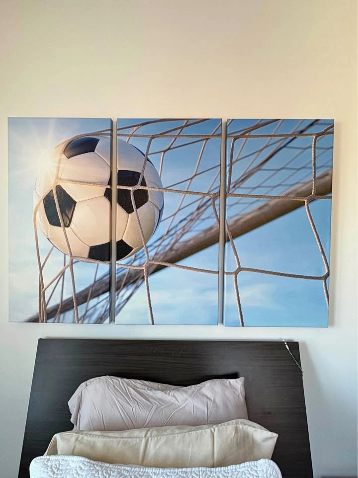 Trio Canvas Soccer Wall Art