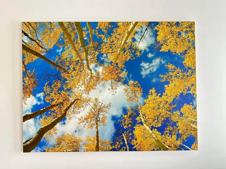 Canvas Wall Art