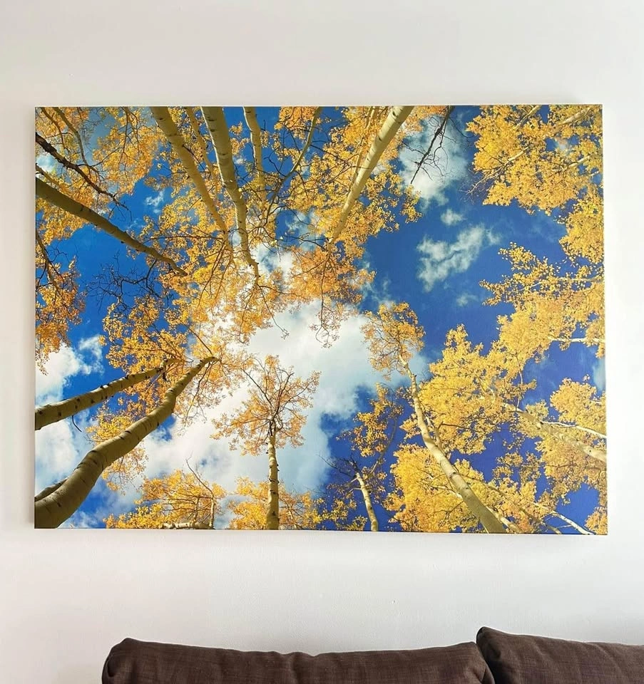 Canvas Wall Art - photo 2