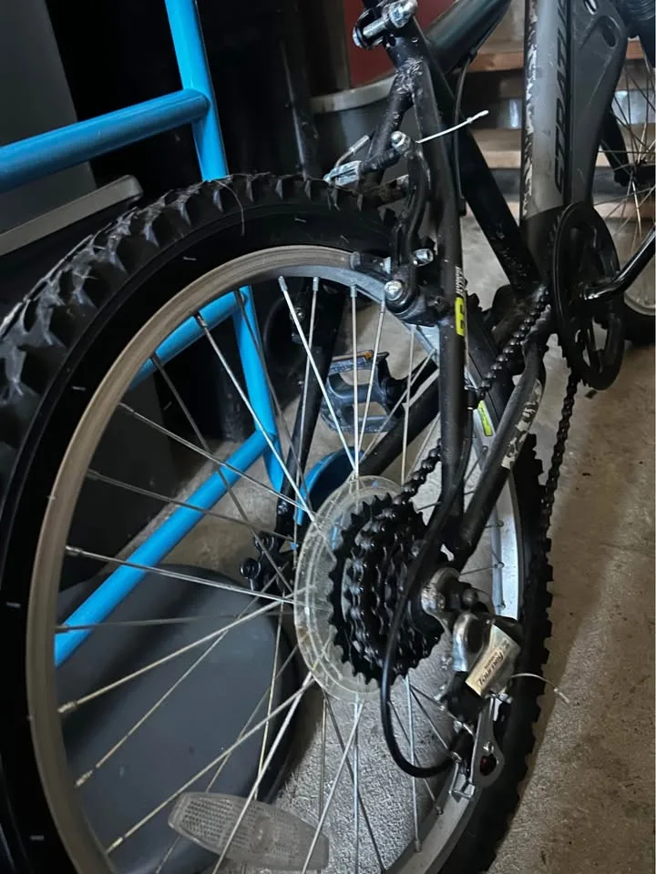 Stratus Black Torsion Youth Bicycle, 6-Speed, 20-in Wheel image indicator(2)