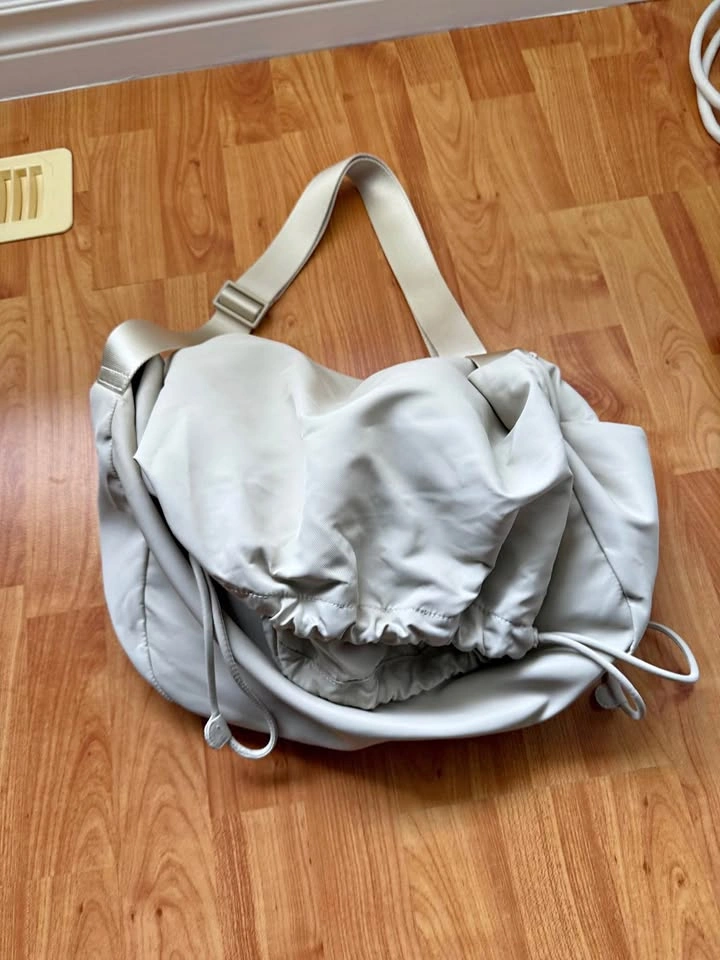 Aritzia Babaton Midway bag