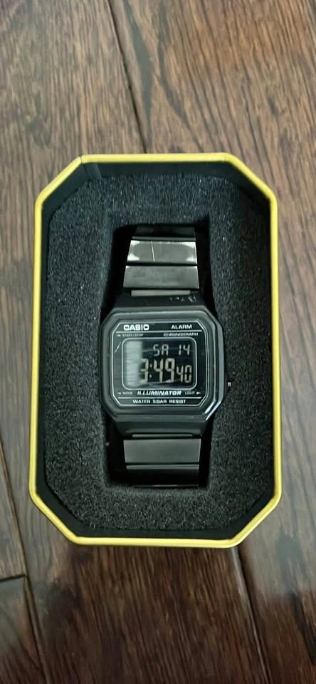 Casio Vintage Collection Watch