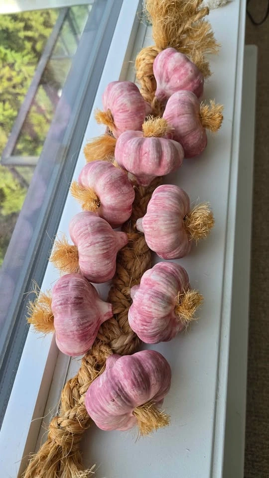 String of Ceramic Garlic bulbs - Decor - photo 2
