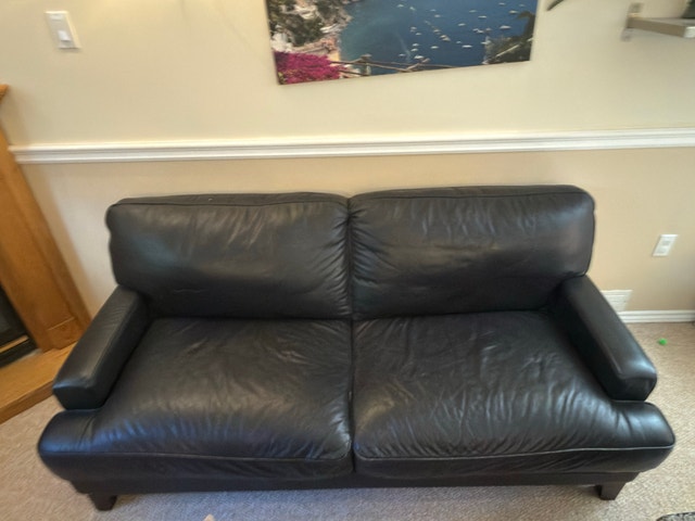 two Italian leather couches