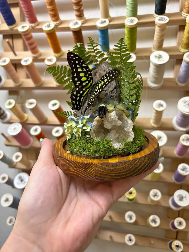 Butterfly and Bee Dome/Terrarium with Crystals