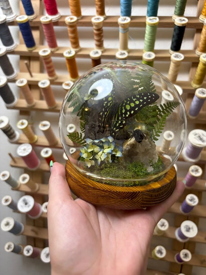 Butterfly and Bee Dome/Terrarium with Crystals - photo 2