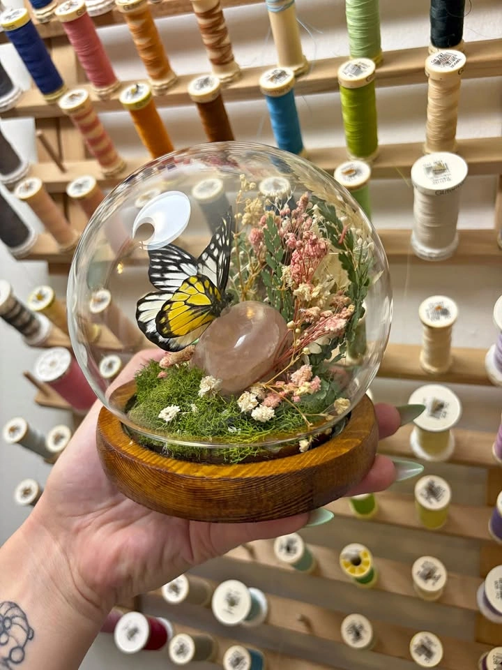 Butterfly Dome/Terrarium with Rose Quartz Crystals