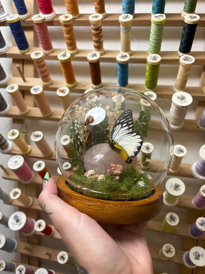 Butterfly Dome/Terrarium with Rose Quartz Crystals - photo 3