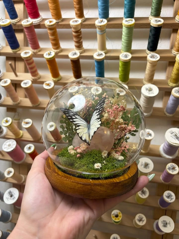 Butterfly Dome/Terrarium with Rose Quartz Crystals - photo 4