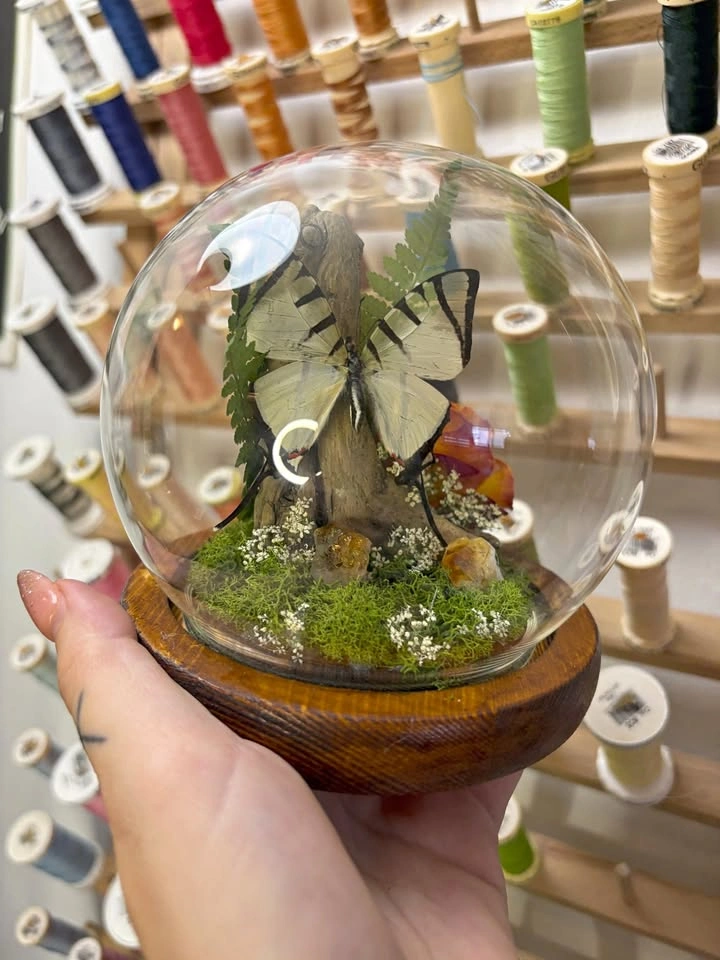 Butterfly Dome/Terrarium with Crystals