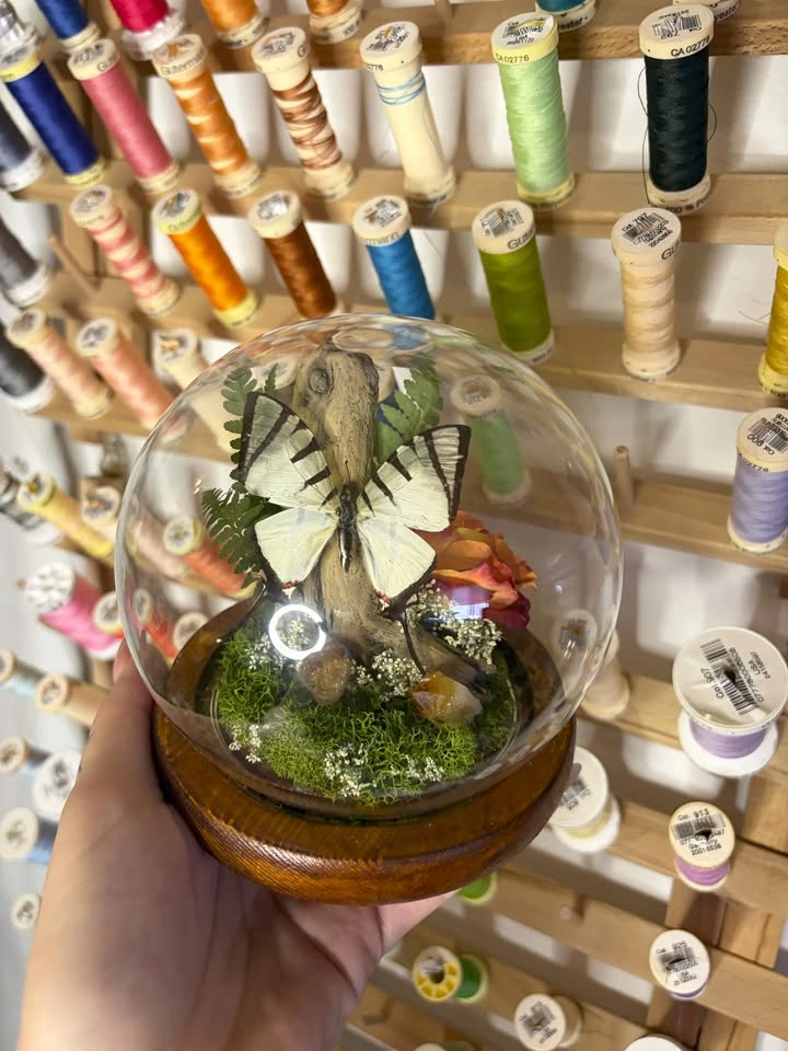 Butterfly Dome/Terrarium with Crystals - photo 3