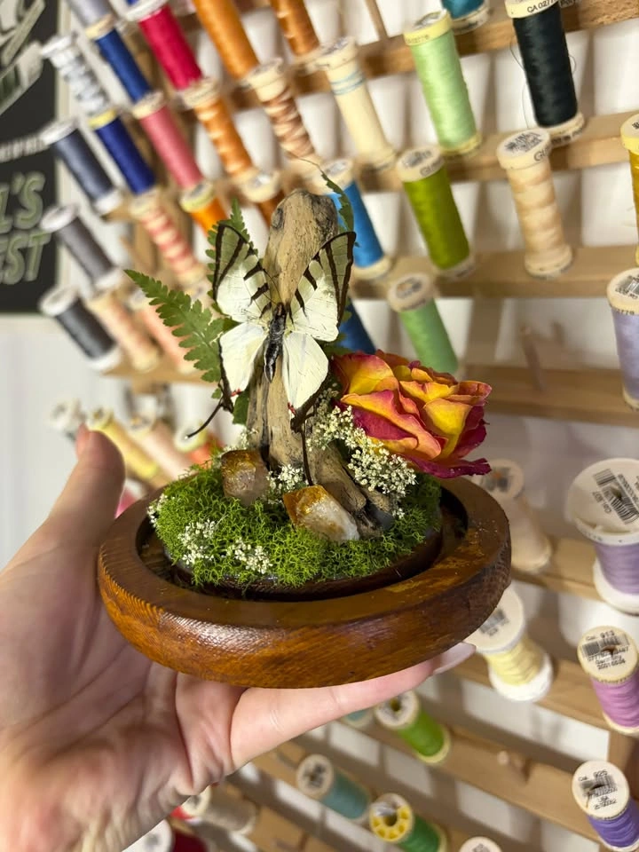 Butterfly Dome/Terrarium with Crystals - photo 5