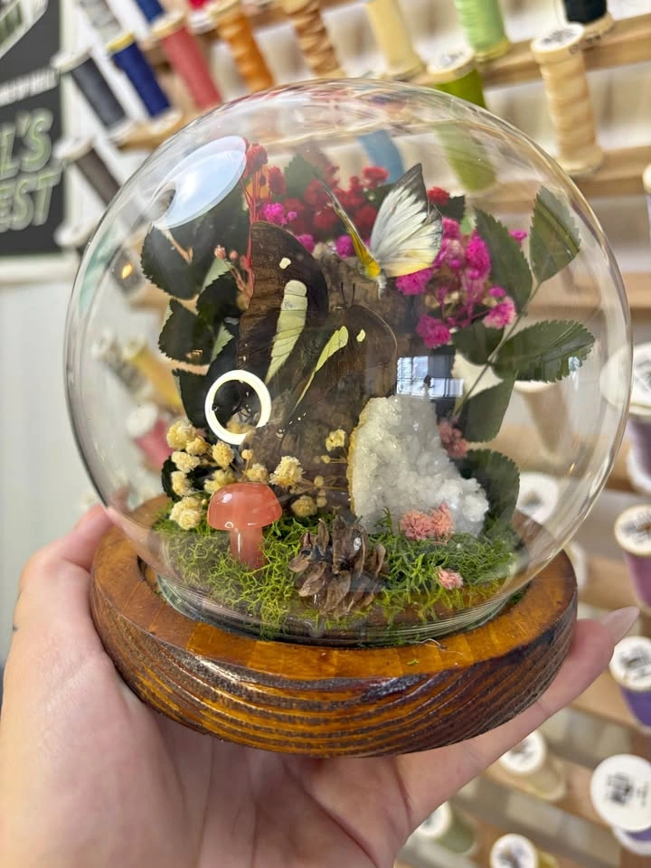 Pink Butterfly Dome/Terrarium with Crystals