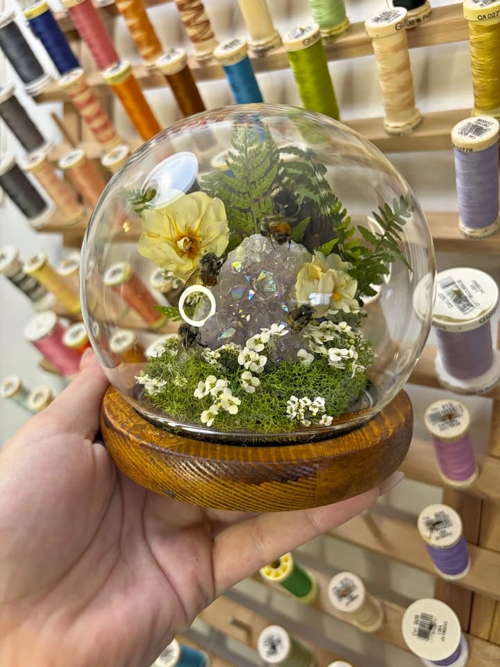 Preserved Bee Dome/Terrarium with Crystal