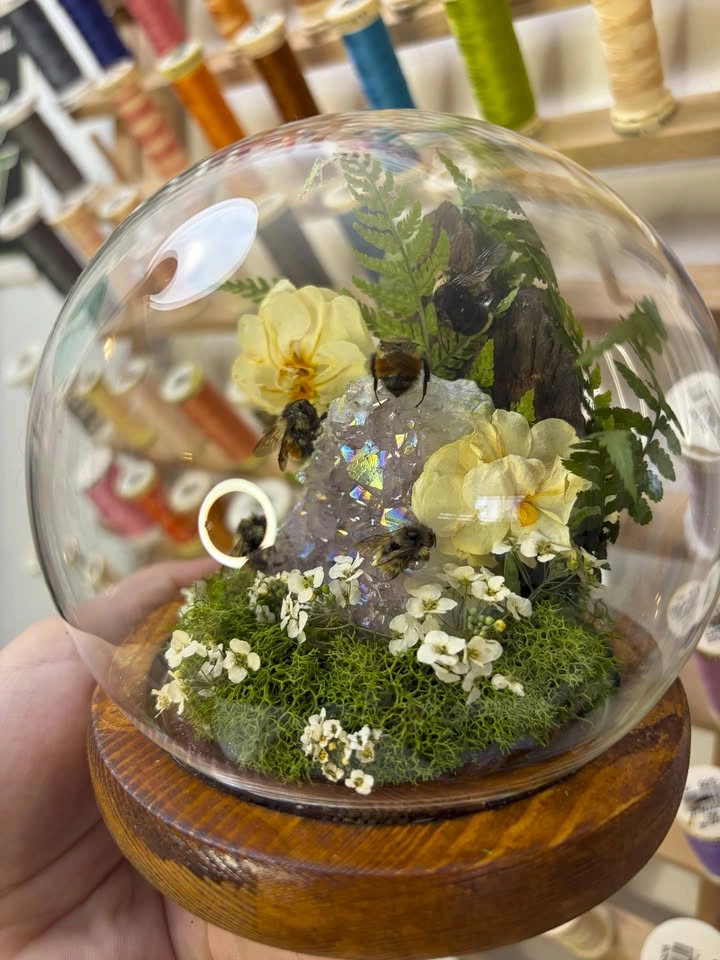 Preserved Bee Dome/Terrarium with Crystal - photo 3