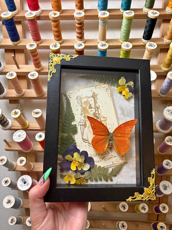 Orange Albatross Tarot Card Frame