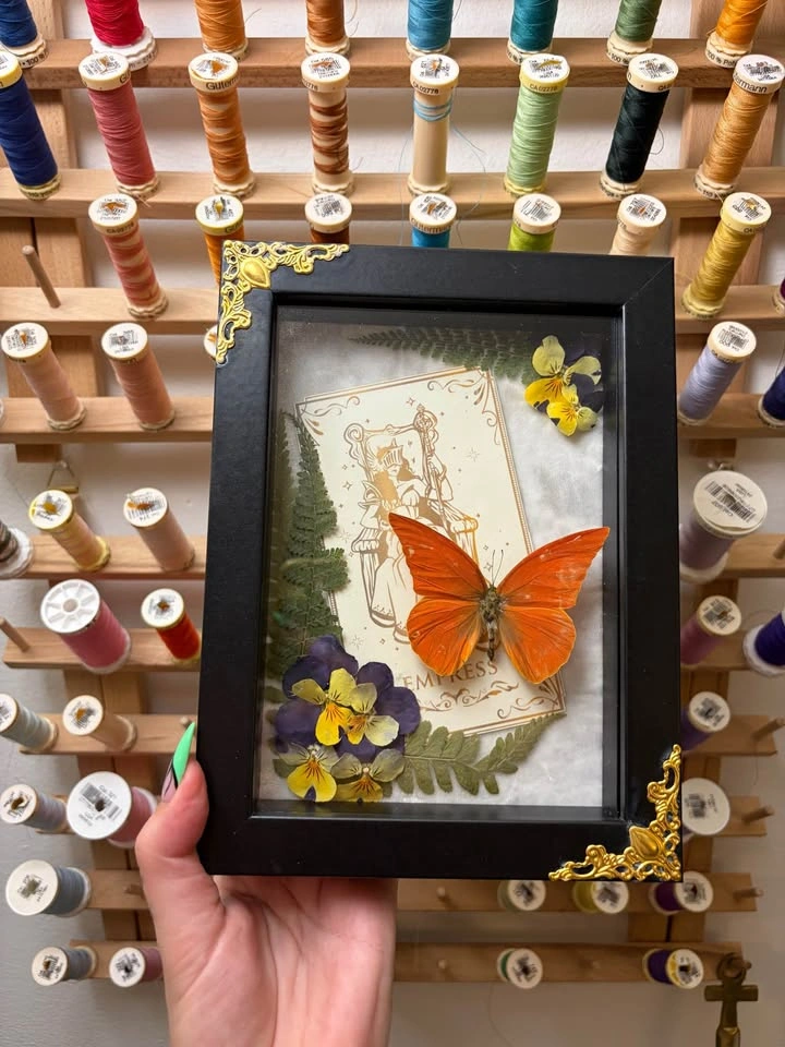 Orange Albatross Tarot Card Frame - photo 2