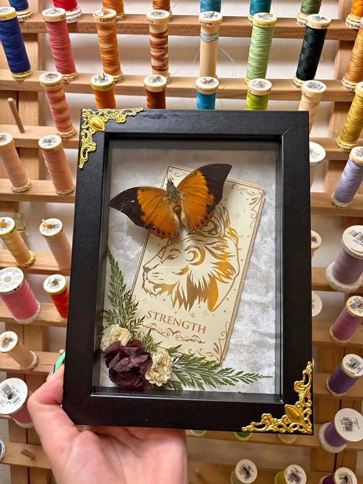 Tawny Rajah Butterfly Tarot Card Frame