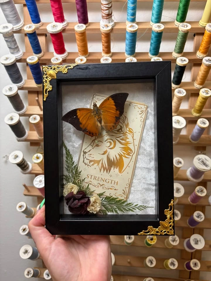 Tawny Rajah Butterfly Tarot Card Frame - photo 2