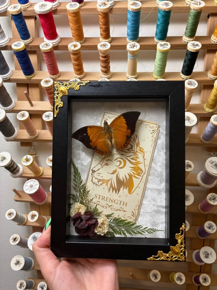 Tawny Rajah Butterfly Tarot Card Frame - photo 3