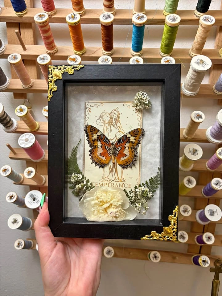 Malay Lacewing Butterfly with Tarot Card