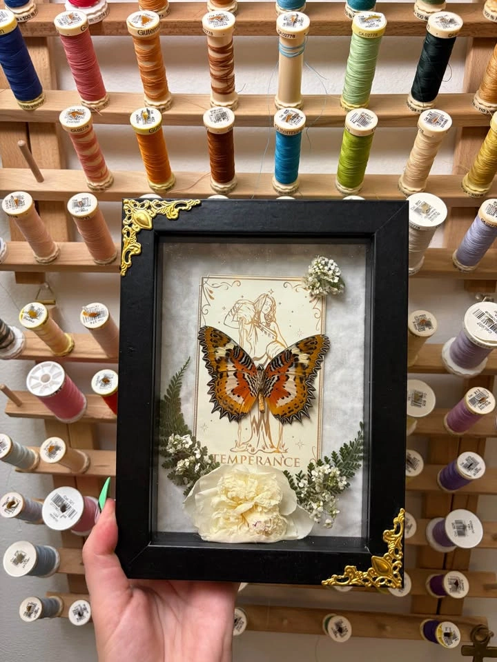 Malay Lacewing Butterfly with Tarot Card - photo 2