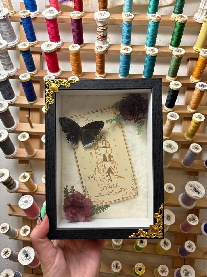 Poppin Jay Butterfly Tarot Card Frame