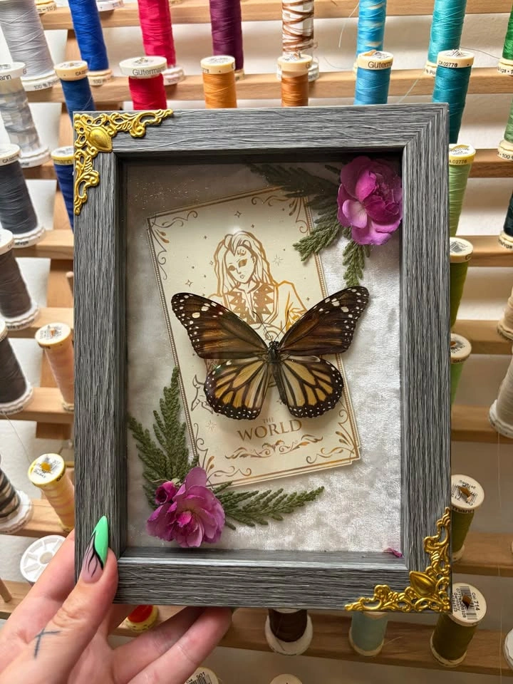 Monarch Butterfly Tarot Frame - photo 4