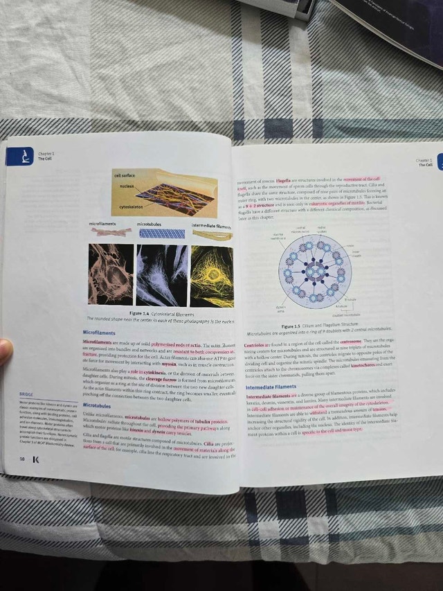 2020 - 2021 Kaplan MCAT books - photo 4