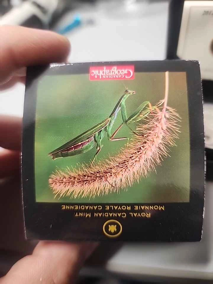 2012 Royal Canadian Mint $10 Fine Silver Coin - Praying Mantis - photo 4