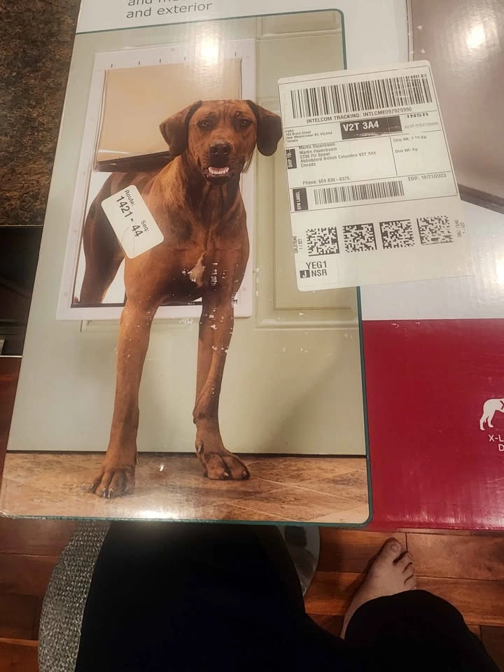 PetSafe Plastic Pet Door - photo 3