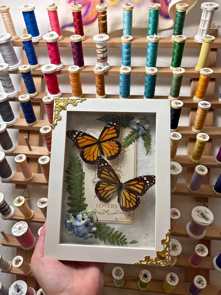 Monarch Butterfly Tarot Card Frame