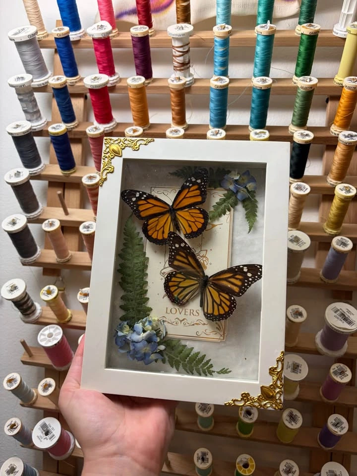 Monarch Butterfly Tarot Card Frame - photo 2