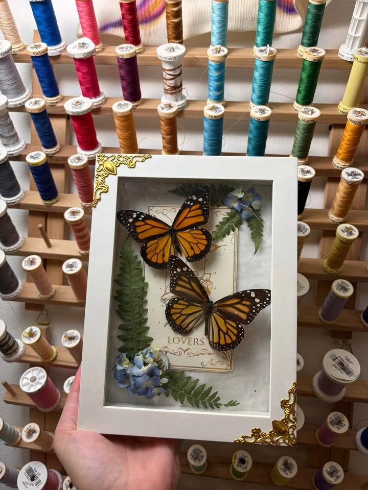 Monarch Butterfly Tarot Card Frame - photo 3