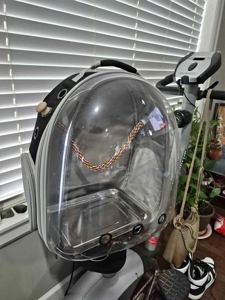 Pet backpack carrier
