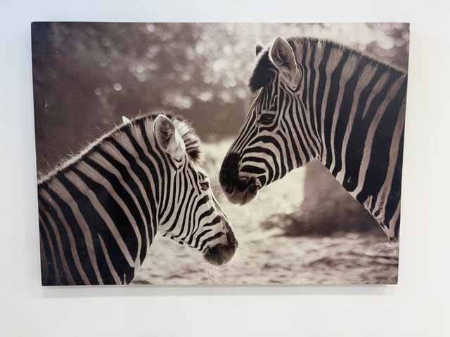 zebra wall art
