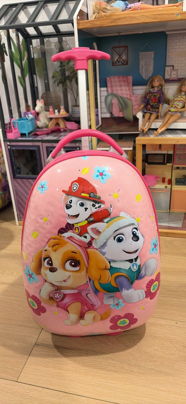 kids paw patrol luggage