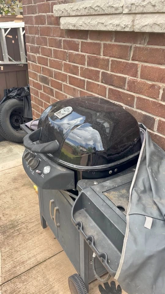 Bbq