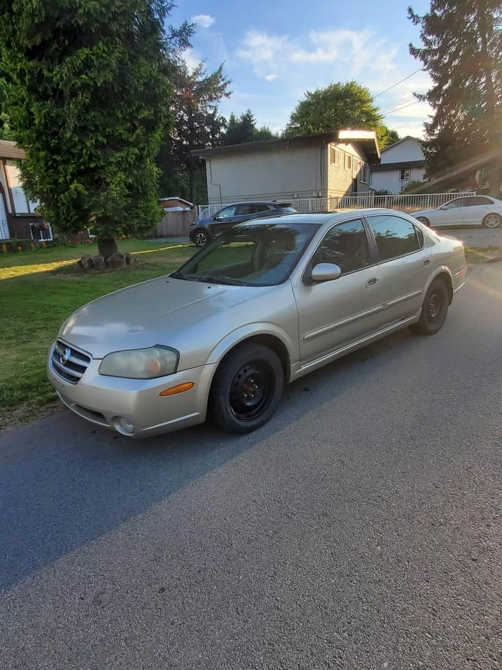 2003 Nissan Maxima - photo 3