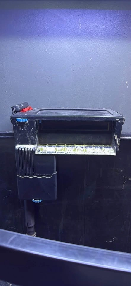 90 Gallon Bow Front Fish Tank Set Up - photo 3