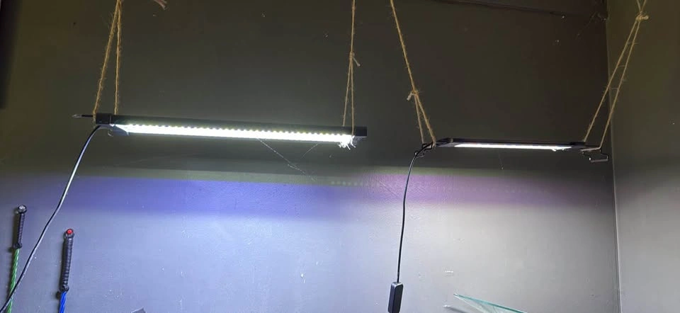 90 Gallon Bow Front Fish Tank Set Up - photo 4