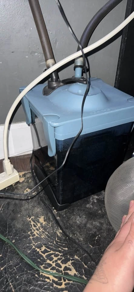 90 Gallon Bow Front Fish Tank Set Up - photo 5