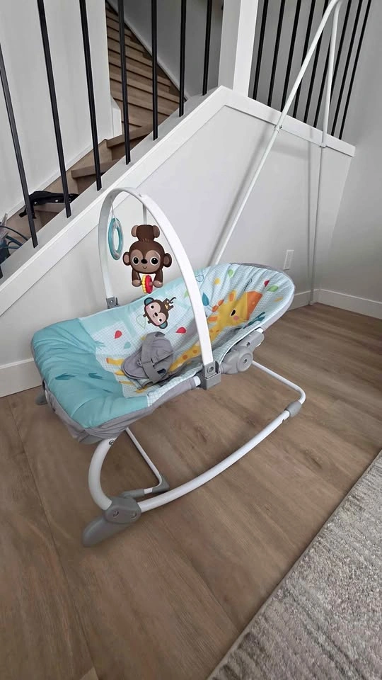 Fisher-Price Infant-to-Toddler Rocker